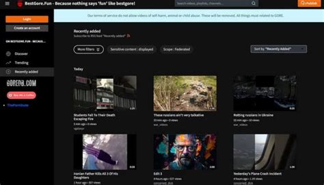bestgore. fun|Websites Like BestGore .
